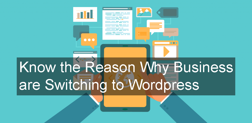 Wordpress Development Company